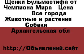 Щенки Бульмастифа от Чемпиона Мира › Цена ­ 1 000 - Все города Животные и растения » Собаки   . Архангельская обл.